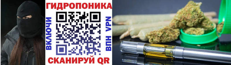 Где купить наркоту Зуевка Псилоцибиновые грибы COCAIN Мефедрон АМФЕТАМИН МАРИХУАНА ГАШИШ