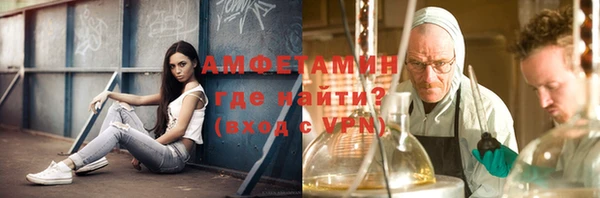 прущая мука Вяземский