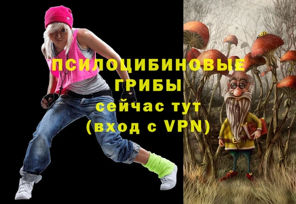 прущая мука Вяземский