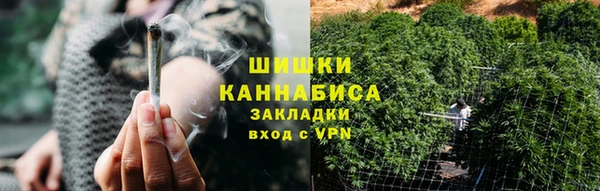 прущая мука Вяземский