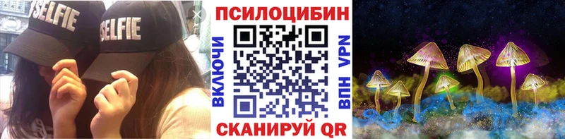 блэк спрут зеркало  Зуевка  Псилоцибиновые грибы GOLDEN TEACHER 